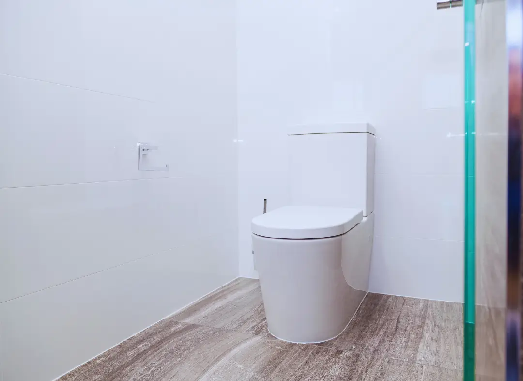 Remplacement de wc Saint-Gervais-les-Bains