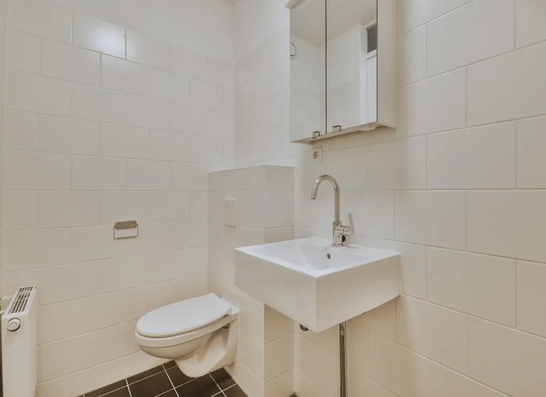 Pose WC Suspendu Saint-Gervais-les-Bains